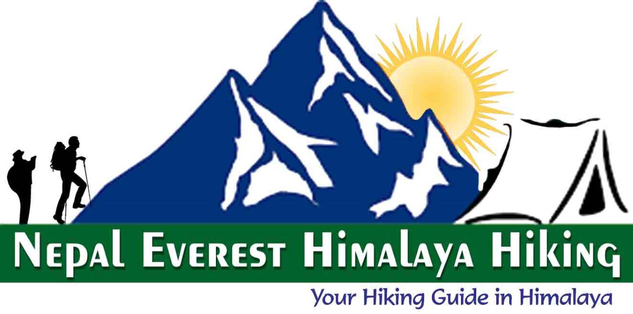 Travel Insurance